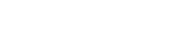 IDS Grupo
